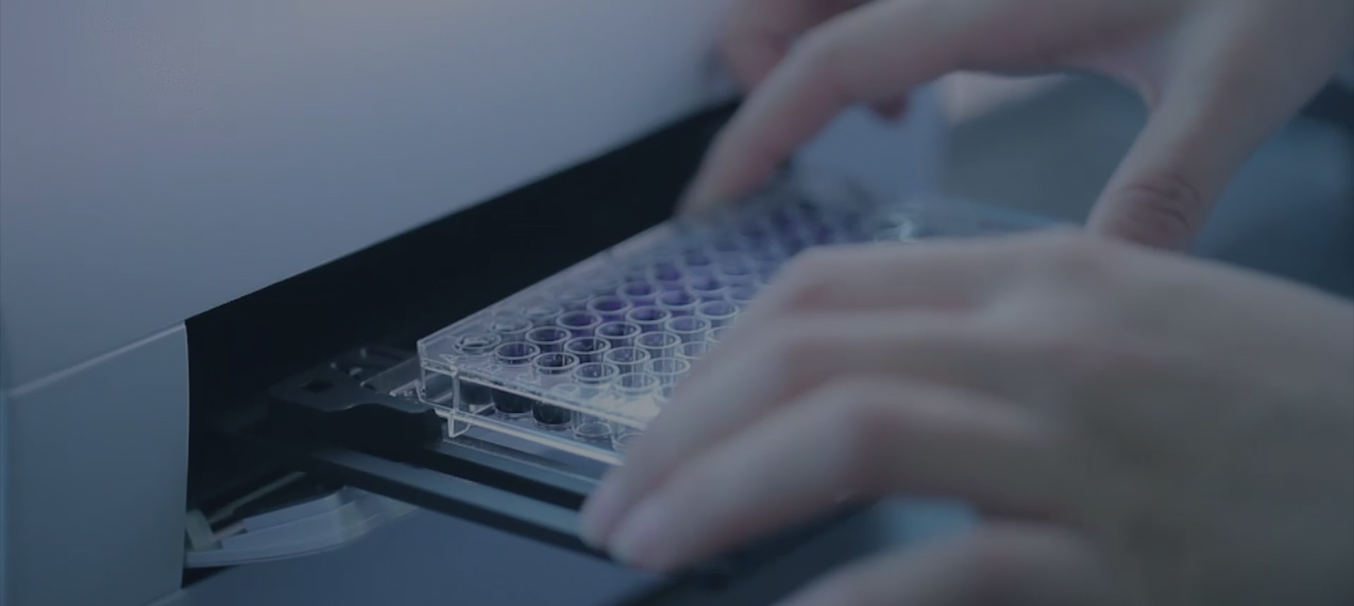 大慶鋼結(jié)構(gòu)檢測(cè)